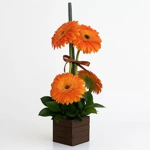 Arranjo de gérberas laranja em vaso de madeira